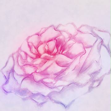 バラの花