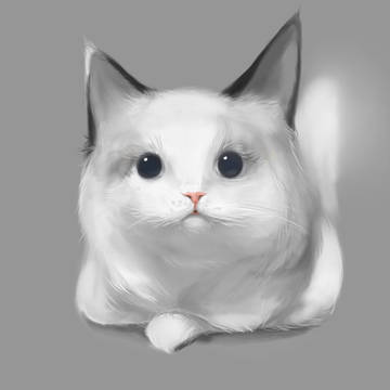 neko