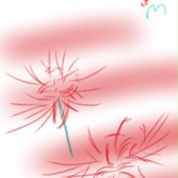 彼岸花