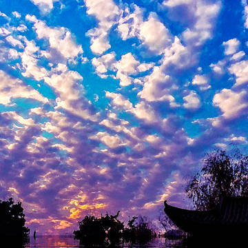 一年后