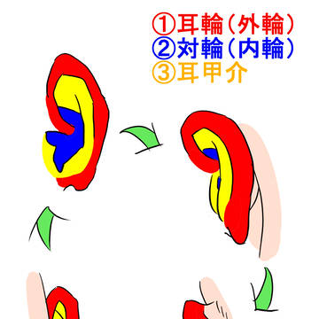 耳の描き方