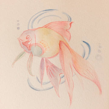 水彩金魚