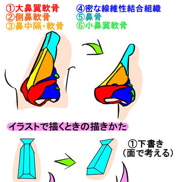 鼻の描き方