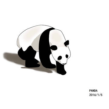熊猫
