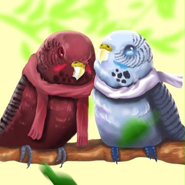 セキセイインコ