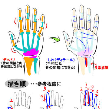 手の描き方