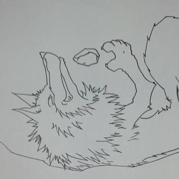 あらしのよるにpart３