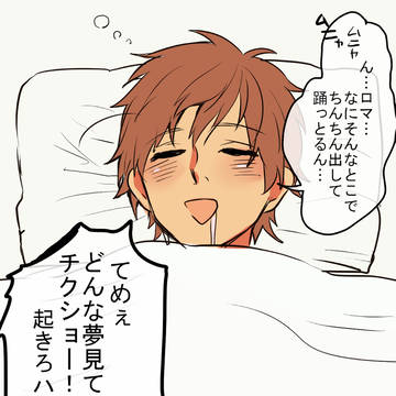 6枚詰め