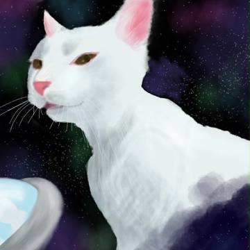 宇宙猫