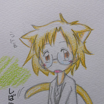 柴にゃん♪