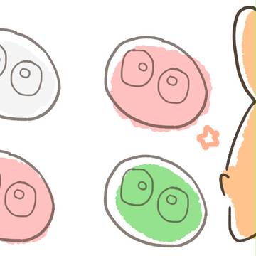 カーくん