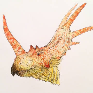 Rubeosaurus ovatus