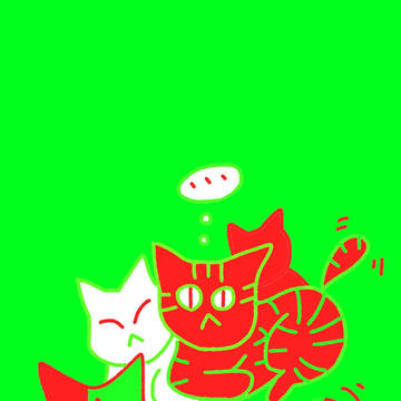猫のなんとか