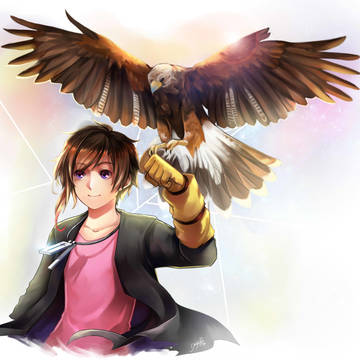 HAWK