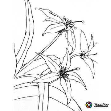 花