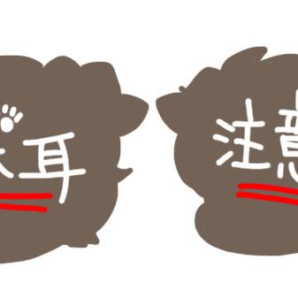 【獣耳注意】
