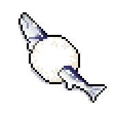 スシ