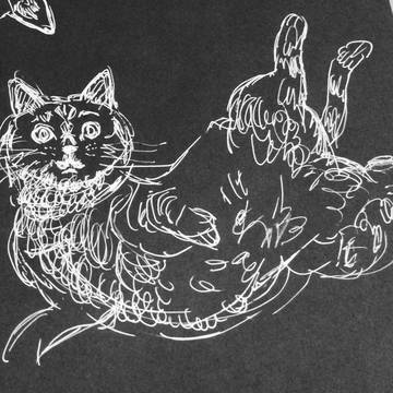 ねこらくがき