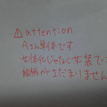 女体化じゃないよ(^q^)