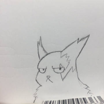 ザングース練習