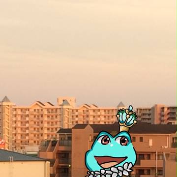 ゆうひだよ！