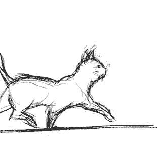 neko