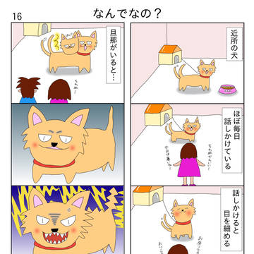16話「なんでなの?」
