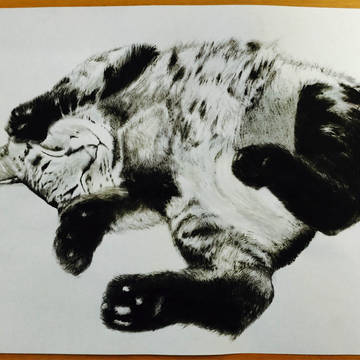 筆ペン一発描き ネコ