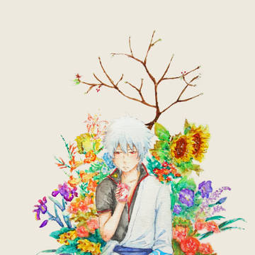 #银魂#花儿与银发武士