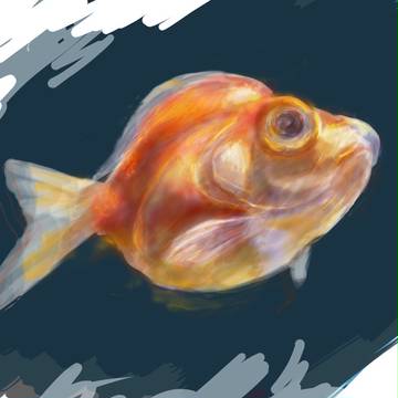 金魚