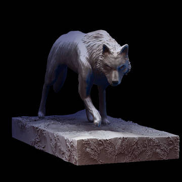 Lonely wolf