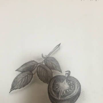 トマトと葉っぱ