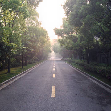 雾中路