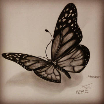 Butterly