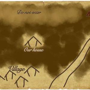 The TWINS MAP