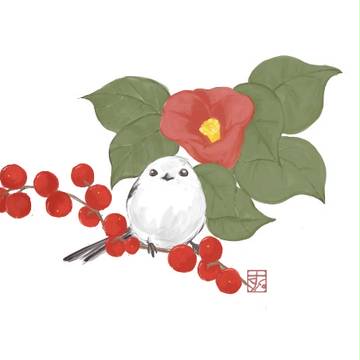‥