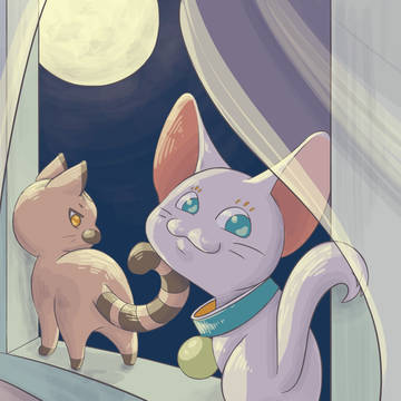 夜中の冒険