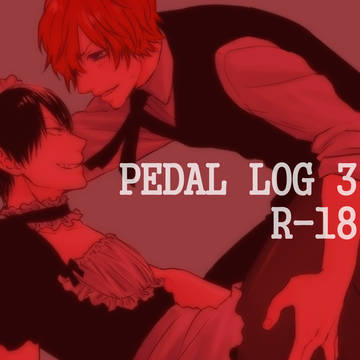 ペダルログ3