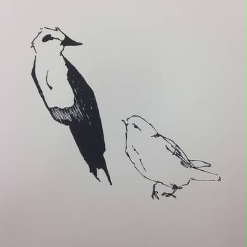 鳥類