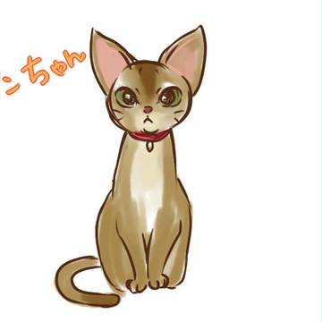 アビシニアン仲良し