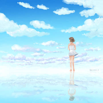 sky mirror
