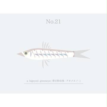 魚シリーズpart5