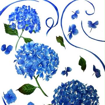 紫陽花