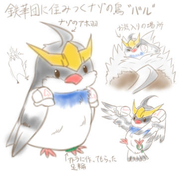 MS鳥化第2弾