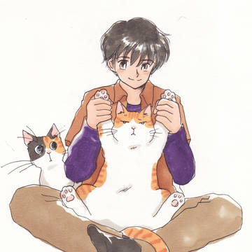 猫