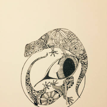 ヤモリ