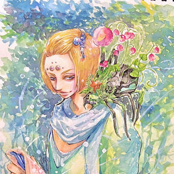 花蜘蛛