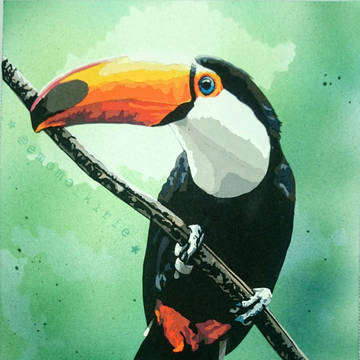 オニオオハシ