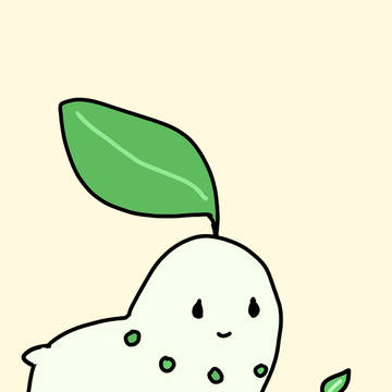 チコリータ