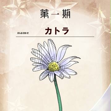 【花冠】カトラ【投票】